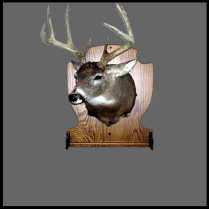 deer,mount,deer mount,deer plaque,hunting,hunting plaque
