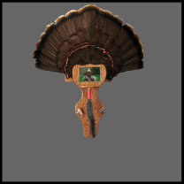 turkey,mount,turkey mount,turkey plaque